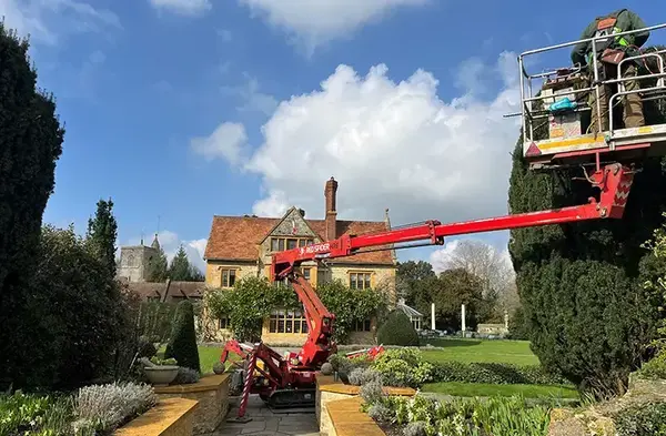 img4-2025-top-right-img2